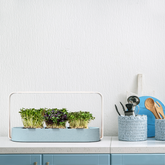 ingarden Takes a Stand Against Ocean Plastic Waste with New Upcycled Indoor Garden.