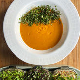 Carrot, Sweet Potato, and Ginger Soup
