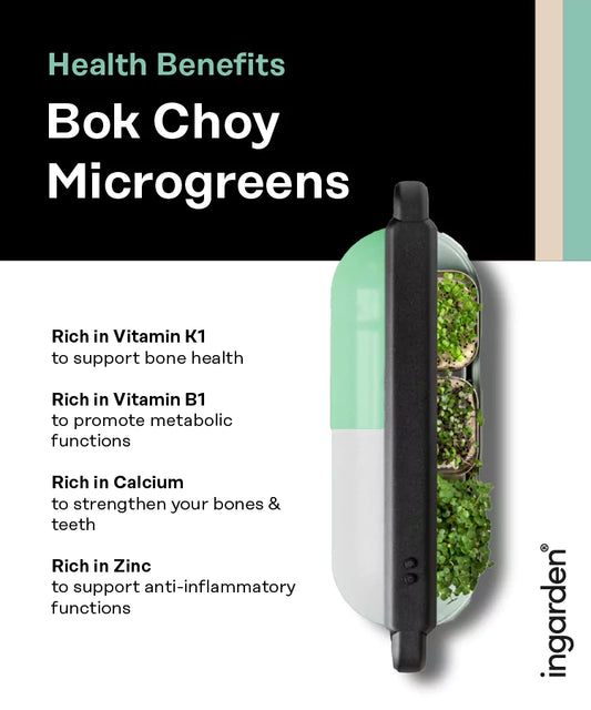Bok Choy Superfood (Vitamin K Booster) Seed Pad ingarden   
