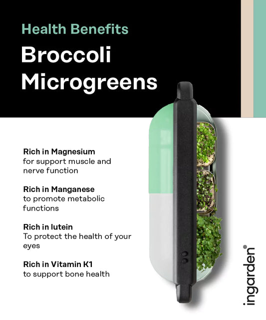 Broccoli Superfood (Vitamin C Booster) Seed Pad ingarden   