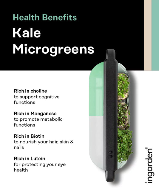 Kale Superfood (Antioxidant Booster) Seed Pad ingarden   