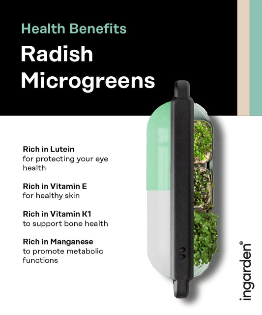 Radish Detox Mix Superfood (Magnesium & Folate Booster) Seed Pad ingarden   
