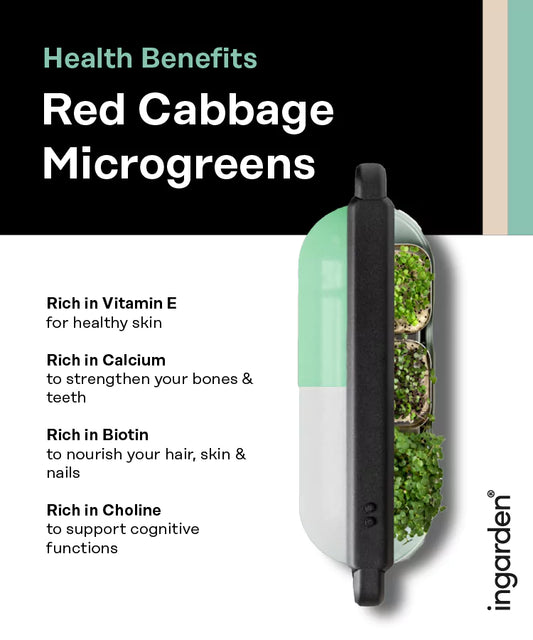 Red Cabbage Superfood (Calcium Booster) Seed Pad ingarden   