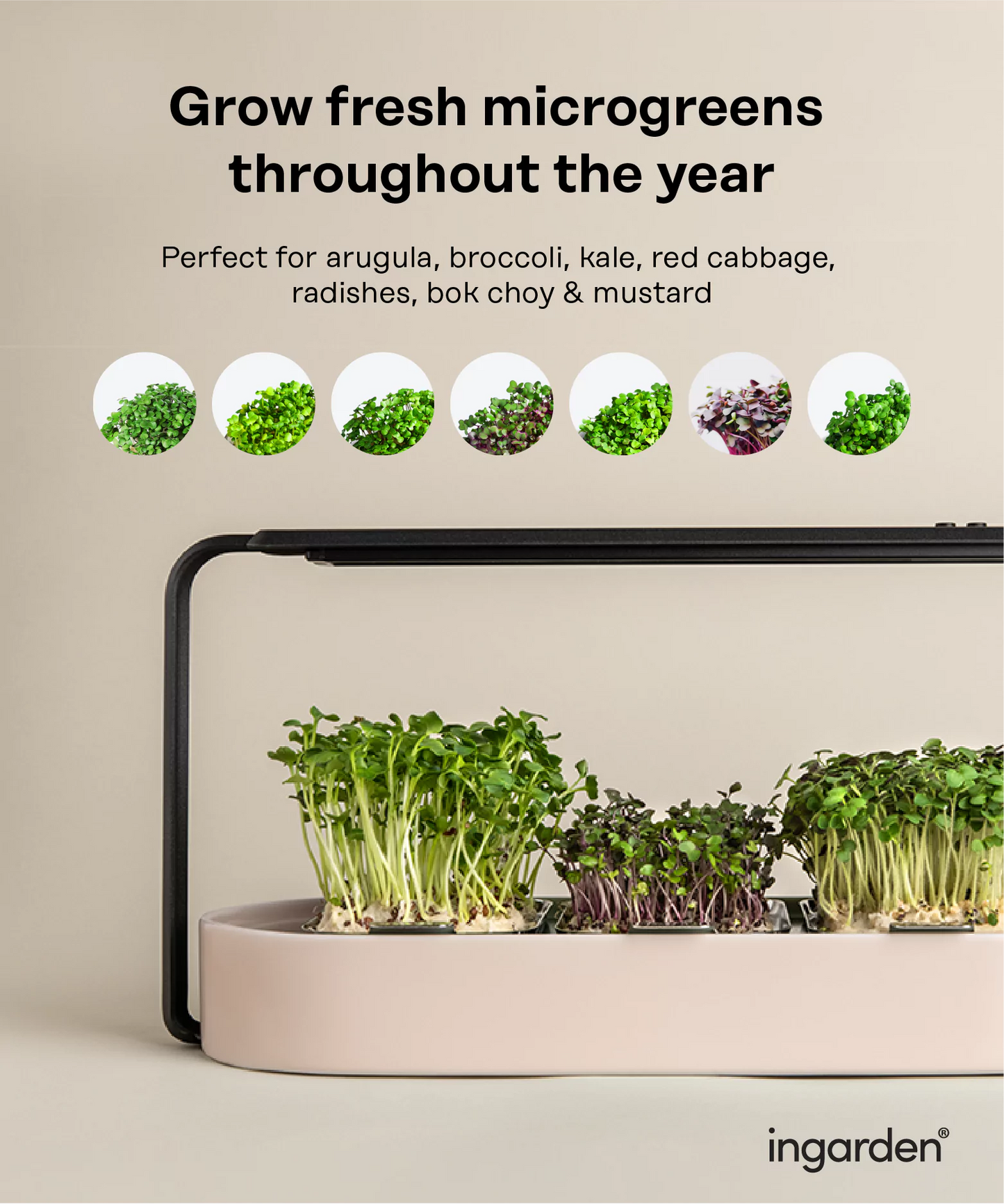 The ingarden bundle Microgreens Growing Kit ingarden   