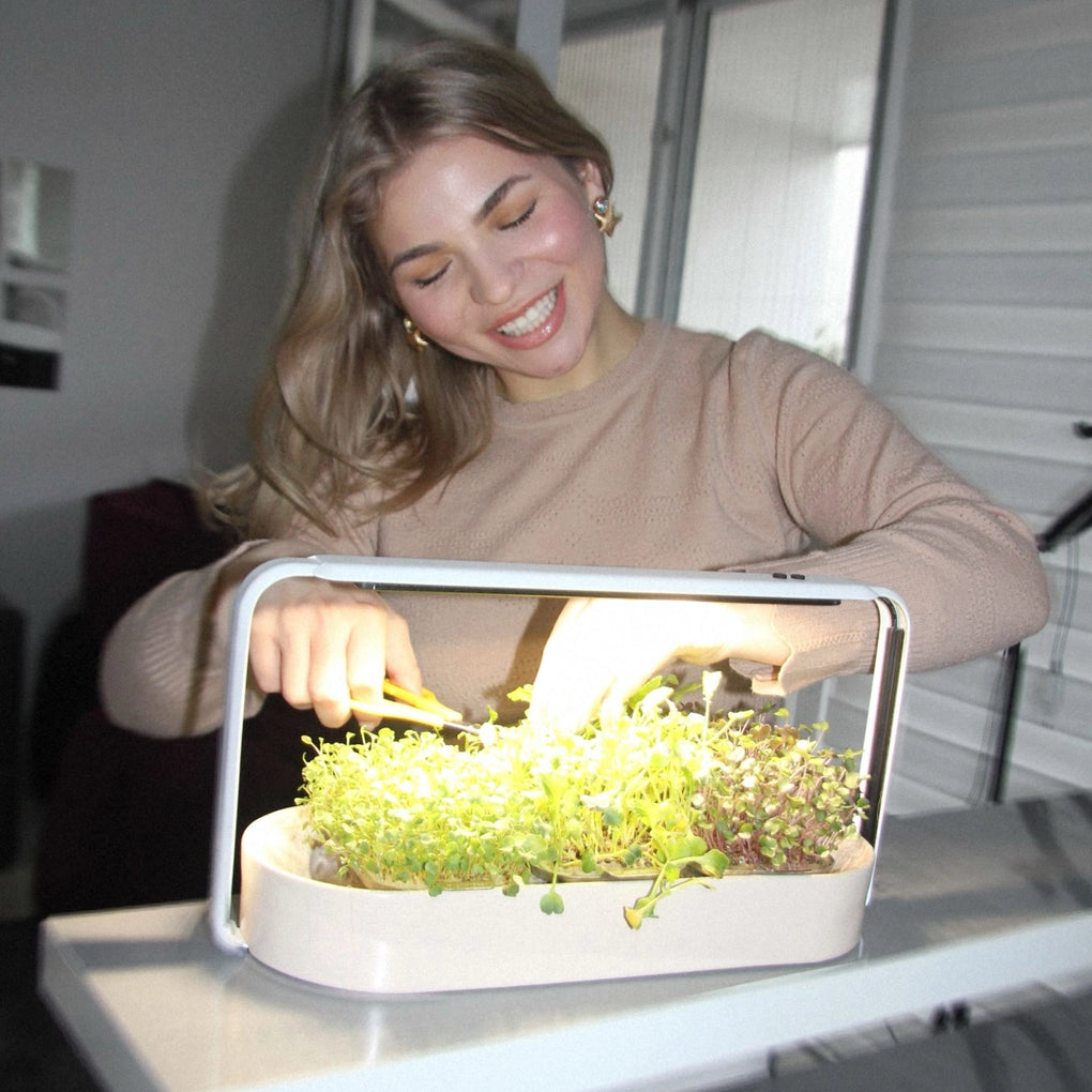 Person with blond hair harvests microgreens from her ingarden