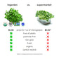 ingarden Microgreens Growing Kit ingarden   