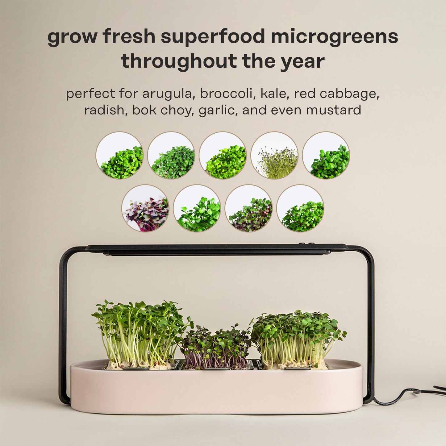ingarden Microgreens Growing Kit ingarden   
