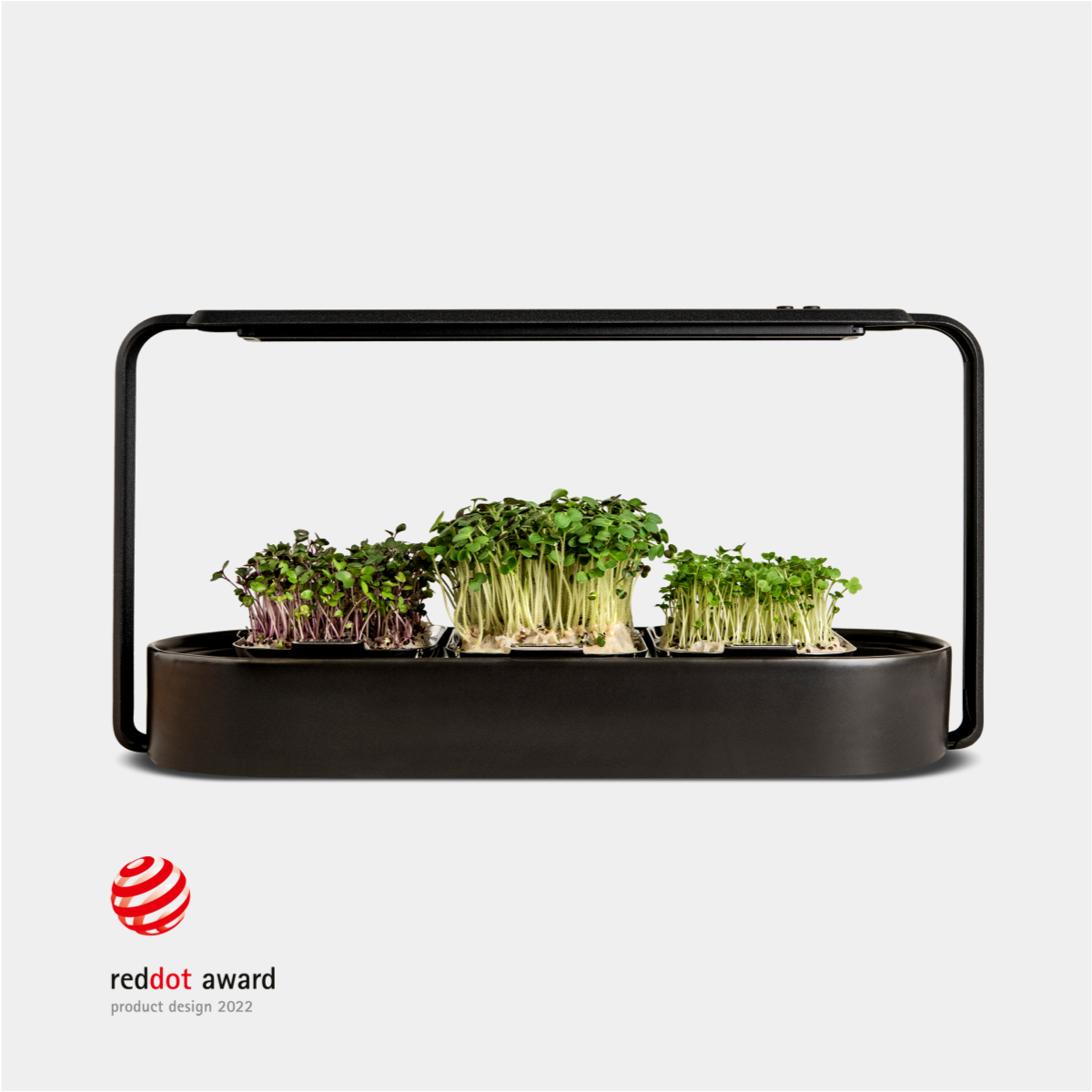 ingarden Microgreens Growing Kit ingarden jet black  