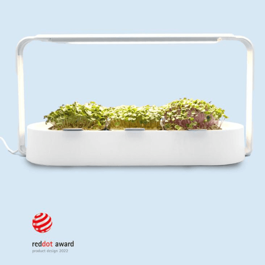 ingarden (subscribe & save plan) Microgreens Growing Kit ingarden Ocean White