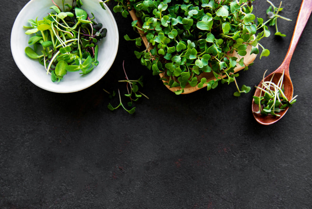Garden cress: nutrition facts and health benefits - Nutrition and Innovation