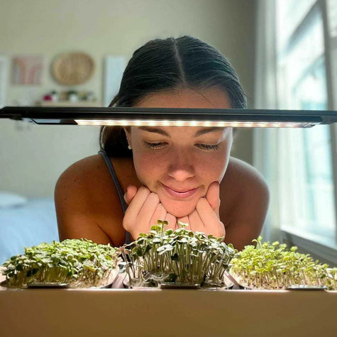 Girl looking at microgreens which are growing in ingarden device