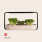ingarden (bundle offer) Microgreens Growing Kit ingarden creme beige  