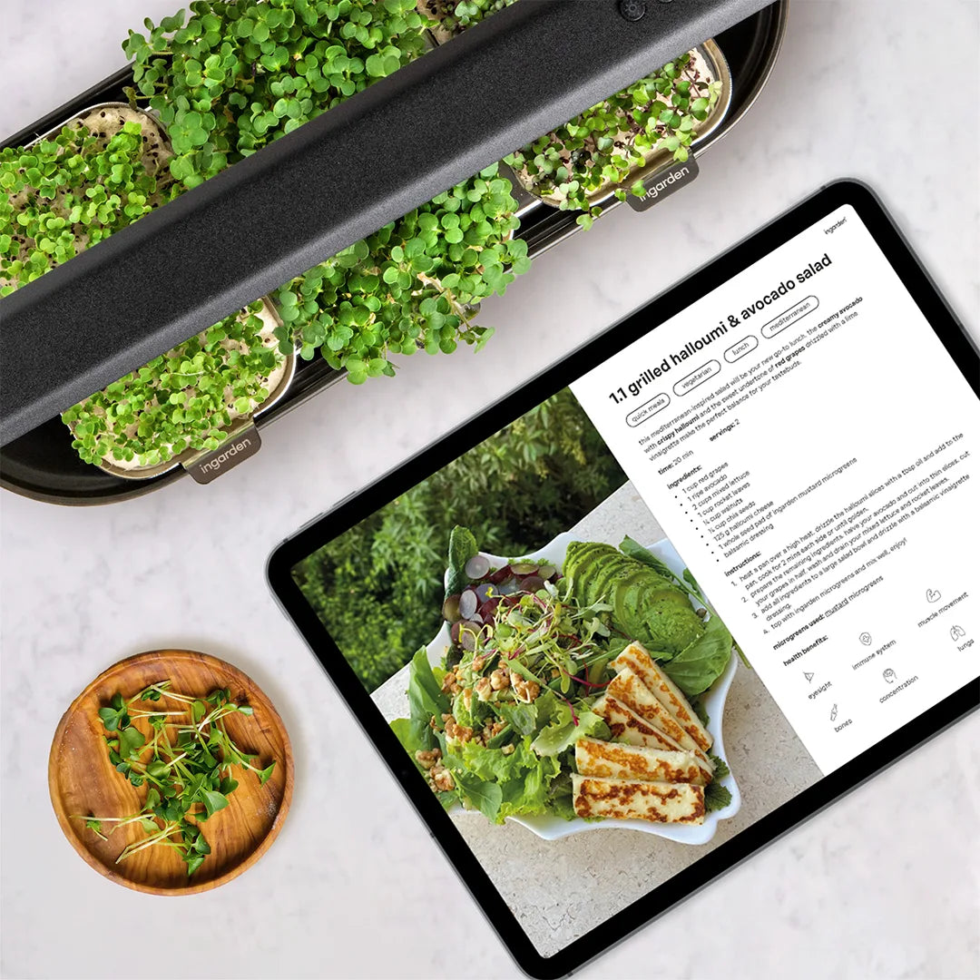 Microgreen Recipe E-book  ingarden   