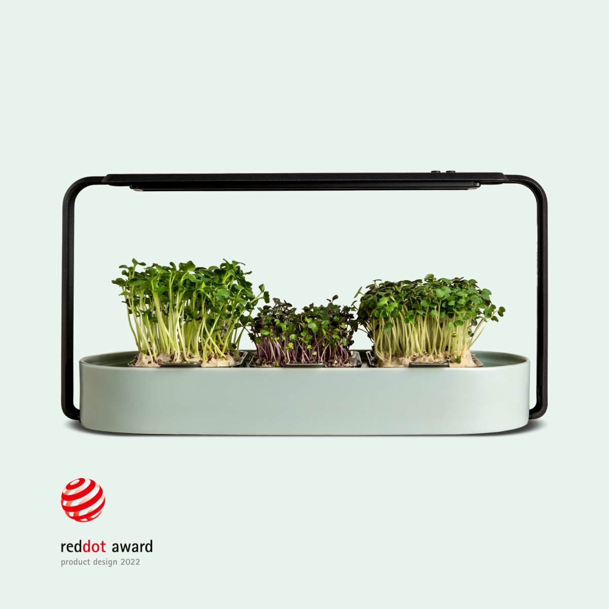 The ingarden bundle Microgreens Growing Kit ingarden warm mint  