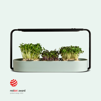 ingarden | grow your microgreens at home & pay as you grow Microgreens Growing Kit ingarden warm mint  